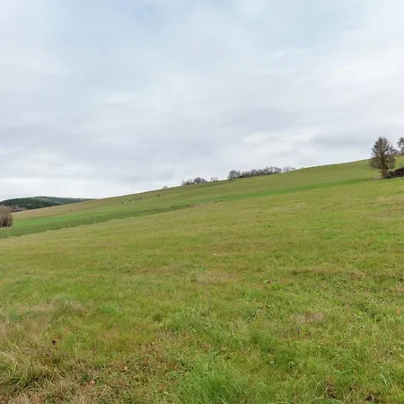 Апартаменты Ferienwohnung Kochems Walhausen (Cochem-Zell)